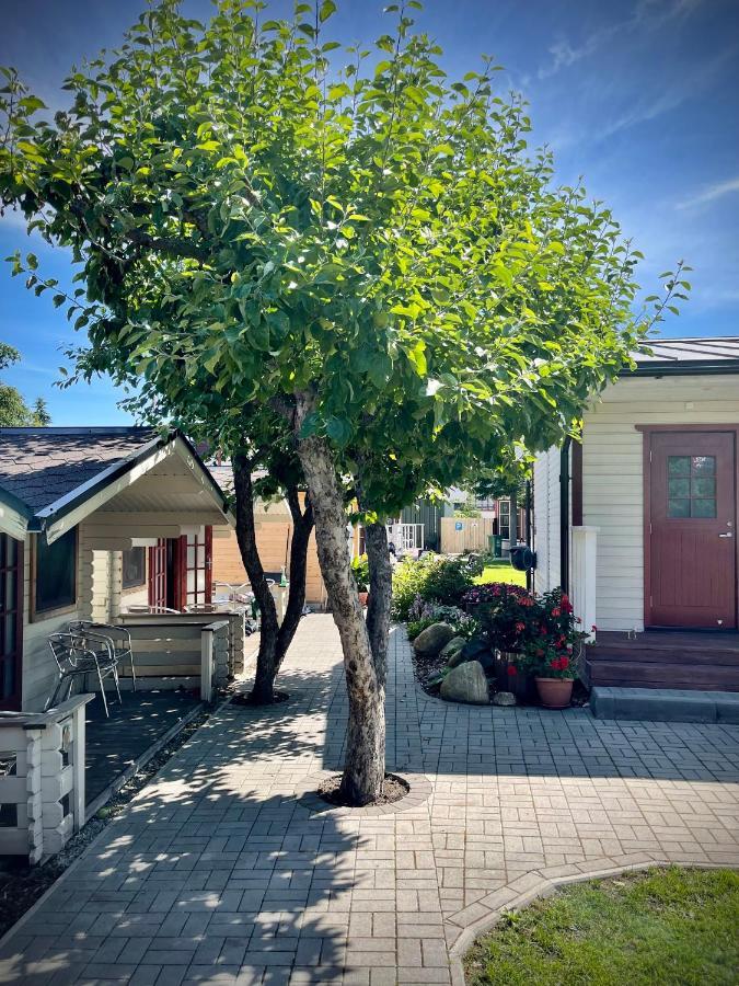 Aleksandri Guesthouse Pärnu Buitenkant foto